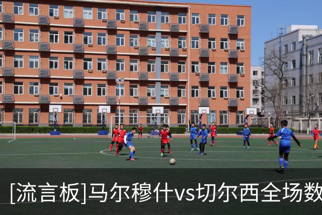 [流言板]马尔穆什vs切尔西全场数据：射门3射正1，绝佳机会错失1